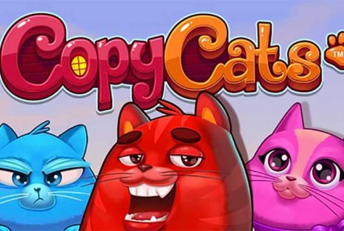 Copy Cats slot