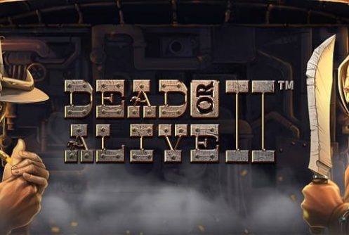 Dead or Alive 2 Banner