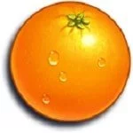 Jammin' Jars Orange