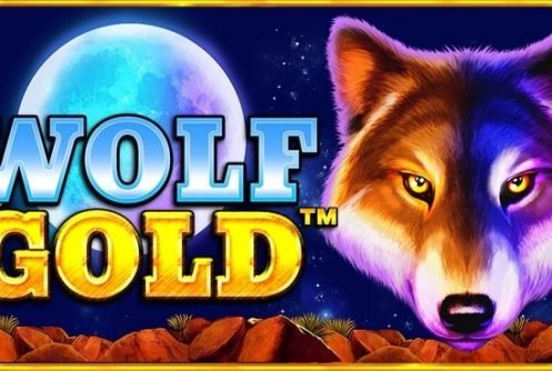 wolf gold