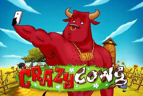 Crazy Cows