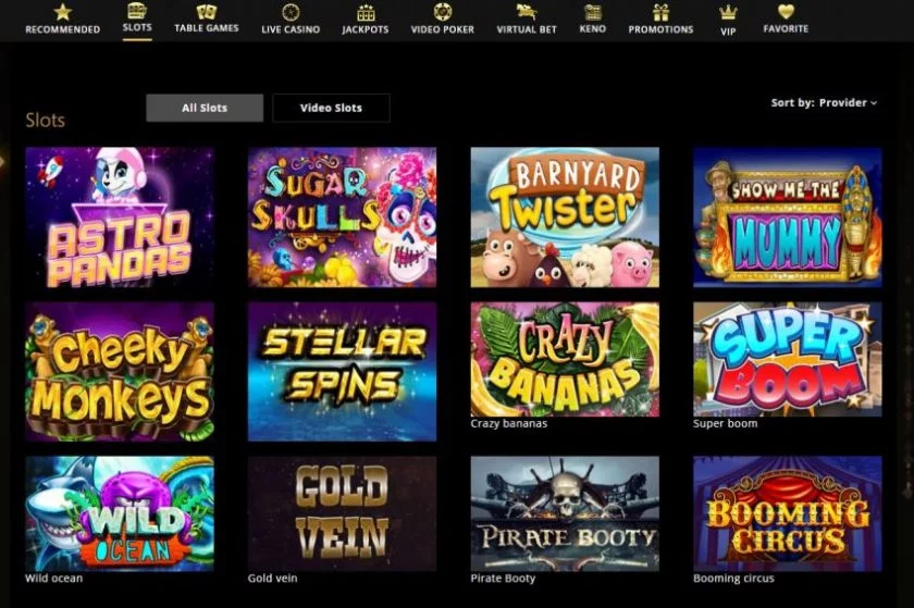 Play24Bet Casino Spilleautomater