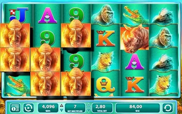 Raging Rhino big win