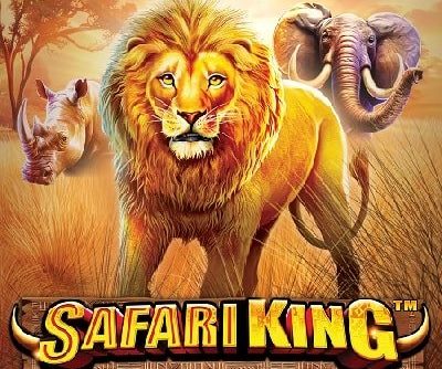 Safari King logo