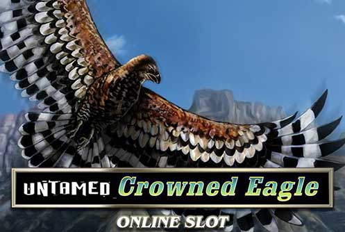Untamed Crowned Eagle