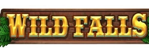 wild falls logo