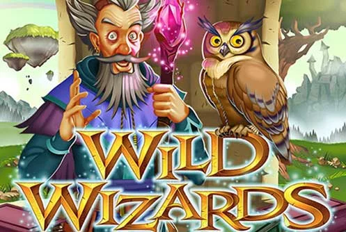 Wild Wizards