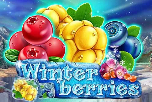 Winter Berries