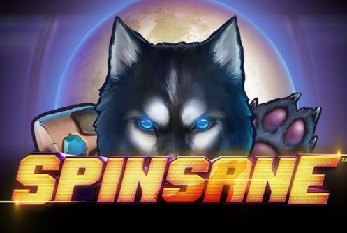 Spinsane Logo