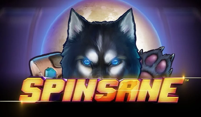 Spinsane Logo